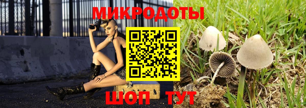 Псилоцибиновые грибы ЛСД  цена   Вход с VPN  Сосновоборск  Галлюциногенные грибы Psilocybe 